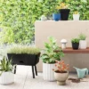 5pc Rectangular Indoor Outdoor Garden Bed 1 Planter with Stand Black 27"x15.5"x20" - Room Essentials™ -Outlet The Casa Gleam Store GUEST 11146af3 f2dc 4466 8661 9b9aace4ed97